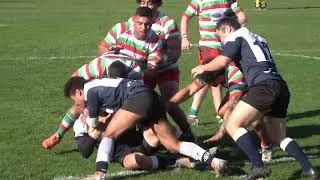 Wellington Club Rugby - Harper Lock Shield, Round 11, 2023 - Petone vs Hutt Old Boys Marist