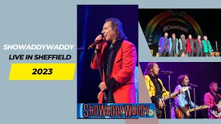 SHOWADDYWADDY - SWEET LITTLE ROCK 'N' ROLLER LIVE AT SHEFFIELD CITY HALL 2023