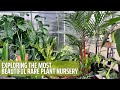 Rare Tropical Plant Nursery Tour | Aroid Greenhouses