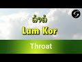 learn lao language ep9 body parts in lao language ອະໄວຍະວະ honna star