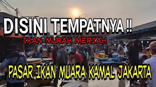 BELI IKAN DISINI HARGANYA BERSAHABAT | PELELANGAN IKAN KAMAL MUARA