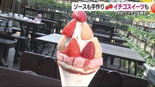 イチゴ狩りシーズン！西条の農園もスタート　同じ種類の食べ比べに「ビックリ」パフェにもこだわり【愛媛】 (25/01/23 18:50)