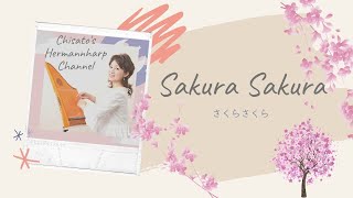 さくらさくら/Sakura Sakura  [Hermannharp]