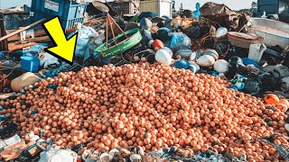 20,000 eggs were thrown into the landfill. Three months later, the unthinkable happened!