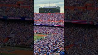 On Field Intro At The Swamp