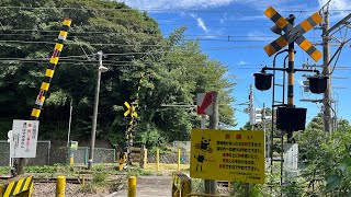 JR東海道本線　変わった警標のecok警報灯踏切