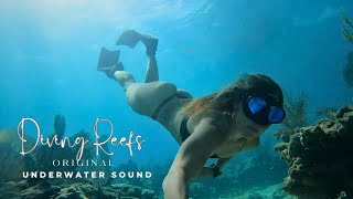 Diving Reefs in a Black Bikini | Underwater Sound  | Pacific Reef | Biscayne National Park