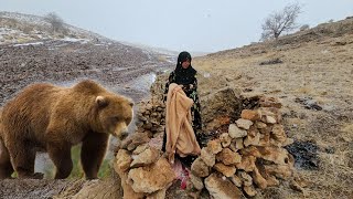 Oh my God, the bears are attacking Ruqiya in the mountains😱😱