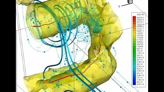 Vortex Visualization in Tecplot