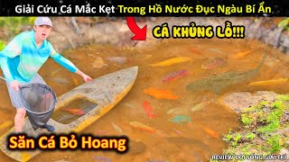 Săn Cá Mắc Kẹt Trong Hồ Nước Bỏ Hoang Đục Ngàu Đầy Bí Ẩn Và Cái Kết || Review Giải Trí Đời Sống