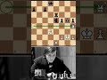 why this queen sacrifice wins the game tribute to anatoly karpov