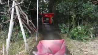 和田御崎神社2015年初詣