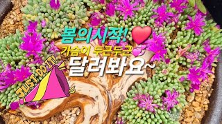 💕심장이두근두근❤️🫀예쁜아이들 한가득💞함께해요🐝