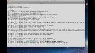 Using JRuby to deploy Ruby in a JVM environment