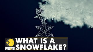 What is a Snowflake \u0026 how do they form? Types of Snowflakes | World Latest English News | WION