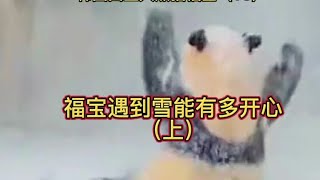 大熊猫 看看韩国出生的大熊猫福宝，有多喜欢雪