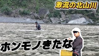 【鮎釣り】10/12 まだ竿締まっちゃダメやで〜！ここに来れば釣れるんだから♪in湯ノ口(北山川)