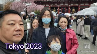 Tokyo, Spring Break 2023/ 봄방학을 맞아 공짜 비행기타고 일본여행 떠나요/ Asakusa, Sensoji Temple/ Akihabara/ TsuruTonTan