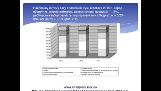 Аудит фінансового стану підприємства