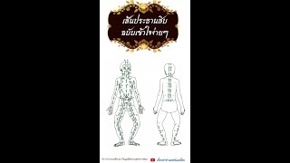 เส้นประธานสิบฉบับเข้าใจง่ายๆ เวอร์ชั่นปรับปรุงล่าสุด #เส้นประธานสิบ #นวดไทย #นวดแผนไทย #แพทย์แผนไทย