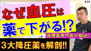 【なぜ薬で下がる】降圧薬で血圧が下がるメカニズム 3大降圧薬を解剖する