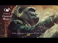 the best of classical music 1 classicalmusic bestclassicalmusic gorilla orchestra symphony