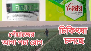 পেঁয়াজের আগা পচা রোগের চিকিৎষা।(Beauty Village BD)