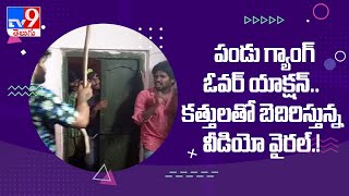 Police arrest Pandu gang in Vijayawada - TV9