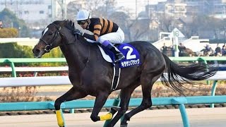 【有馬記念・枠順抽選会】武豊ＶＴＲ出演　キタサンブラック有終Ｖと同じ１枠２番にも友道調教師は…