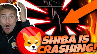 🚨SHIBA INU HOLDERS! *WE ARE DUMPING!* I CALLED THIS! REVEALING THE BOTTOM FOR SHIBA! DO THIS NOW!🚨