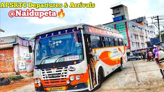 Apsrtc Departures and Arrivals at Naidupeta #apsrtc #bus #tirupatiDistrict