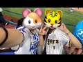 【vlog】横浜スタジアムに初めて行ってきた🐯🐹 野球観戦⚾️ ビジター観戦 横浜観光で横浜を満喫した2日間🎡