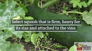 Get VegUcated: Squash