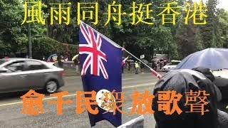 風雨同舟挺香港，抗議中共强推香港國安法，愈千溫哥華民衆冒雨聚集在中領館馬路兩側集會呐喊，過往車輛鳴笛聲援（之三）。