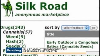 Silk Road's 'Dread Pirate' Deserves 20+ Years: Kellermann