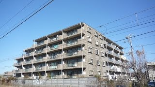 ドルフソニアドーロ　603号室　3LDK｜日の出不動産㈱　古淵　賃貸