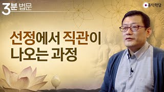 [3분 법문] 선정에서 직관이 나오는 과정