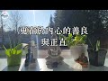 算命先生說：這4大生肖女，命裏福氣旺，旺夫旺子旺全家！家裏有一個都要恭喜了！你家有幾個？【佛語】 運勢 風水 佛教 生肖 佛語