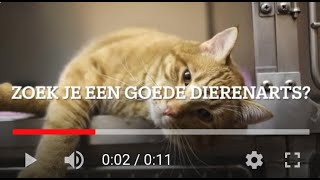 Dierenartsenpraktijken vind je ook op Zorgscore. Met reviewscores.