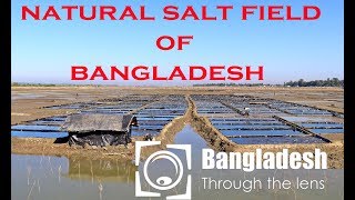 Salt flats Natural salt field of Bangladesh