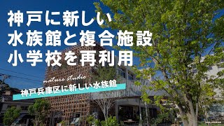 神戸の新名所！みなとやま水族館＆NATURE STUDIO【場所と道順も紹介】