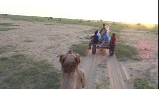 Riding a camel through the Thar desert