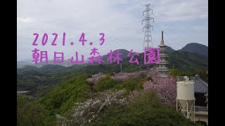 2021 4 3 三豊市立朝日山森林公園　花見