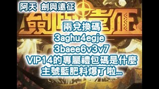 #阿天 #劍與遠征 兩兌換碼 3aghu4egje/3baee6v3v7 VIP14的專屬禮包碼是什麼 主號藍肥料爆了啦... #AFK ARENA