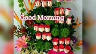 Playtube Pk Ultimate Video Sharing Website