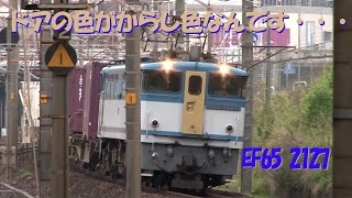 EF65唯一！ドアの色がからし色！