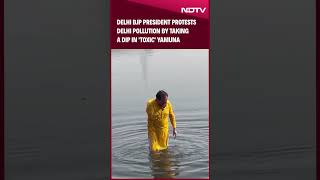 Yamuna | Delhi BJP President Takes A Dip In Toxic Yamuna In A Unique Protest Against Delhi Pollution