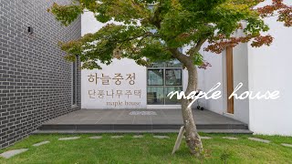 67평 ㄷ자 하늘중정 단풍나무 단독주택  CF에 나올법한 화사한 집, 갖고싶다... Beautiful maple house in Korea.