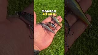 NEW MegaBass Micro BFS Lures!