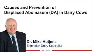 Causes and Prevention of Displaced Abomasum (DA)